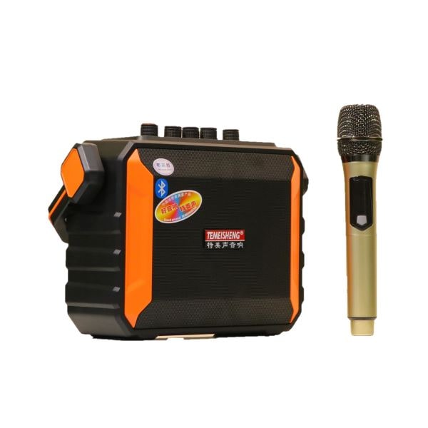 Loa karaoke di động Temeisheng A528 (2 Micro)