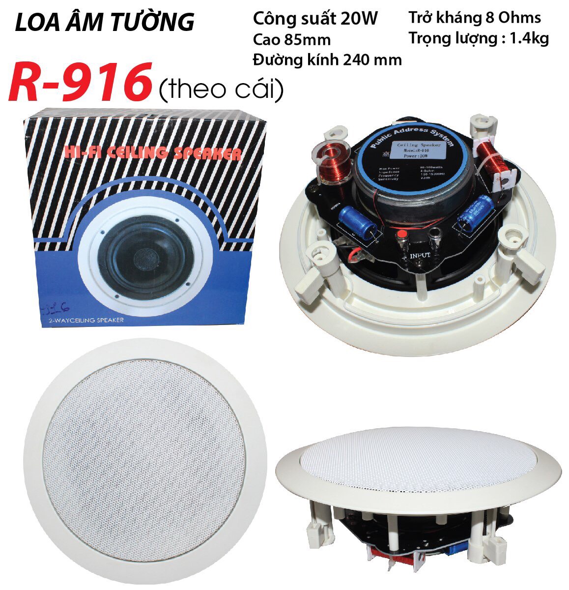 Loa âm tường Hi-Fi Ceiling Speaker R-916