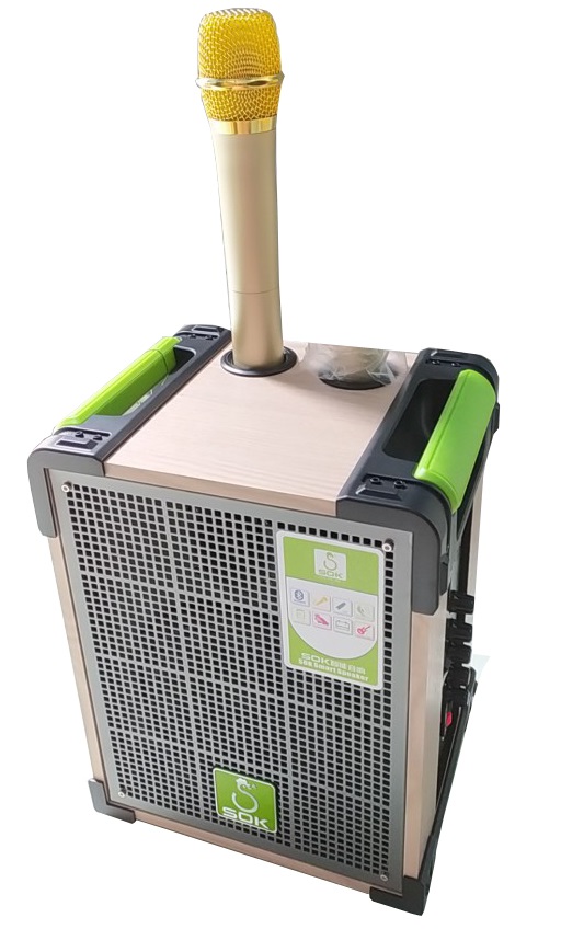 Loa kéo di động SOK 318
